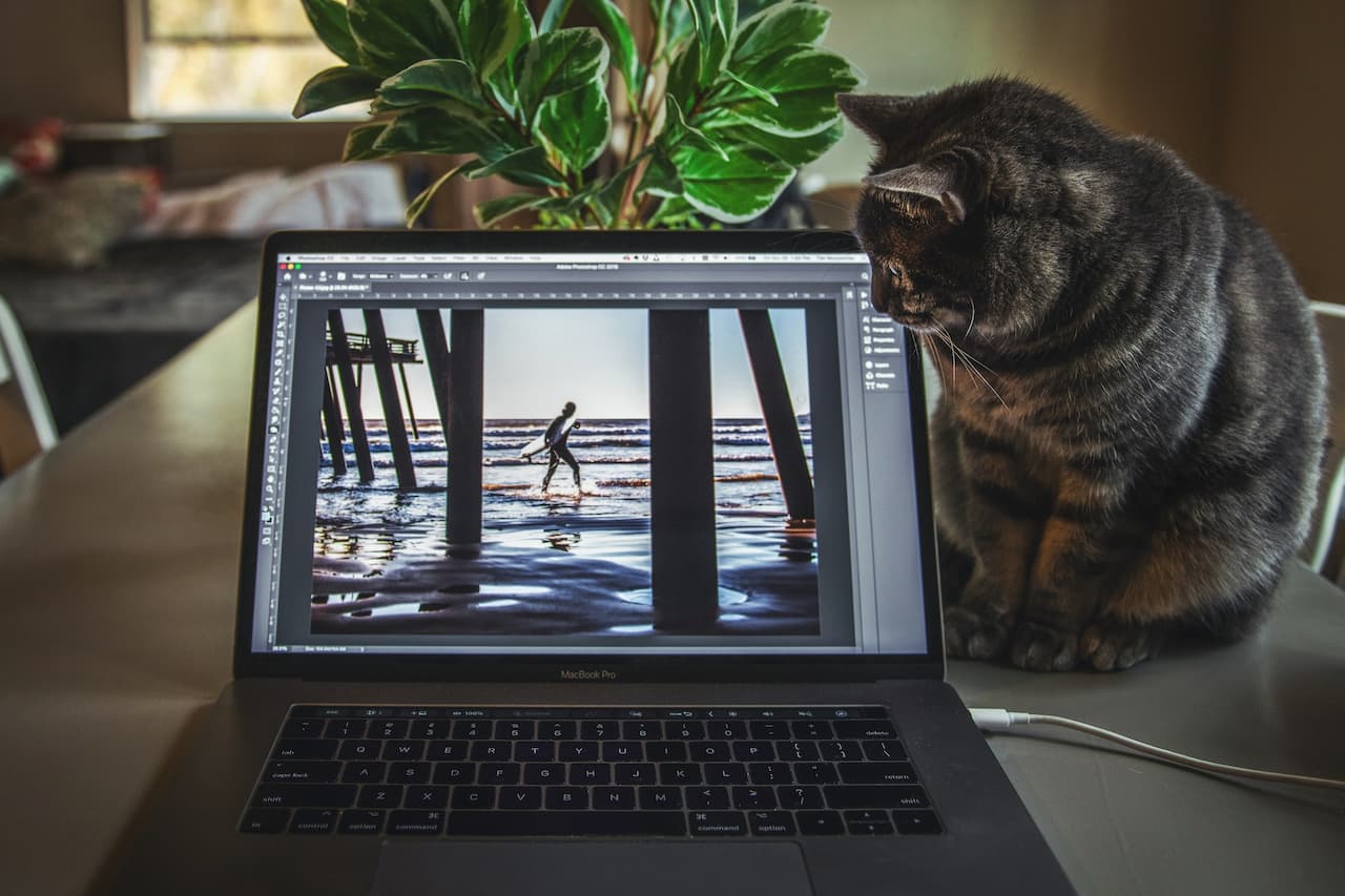 A cat sitting beside a laptop on a table, looking curiously at the screen