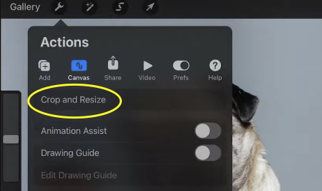 The "Crop and Resize" option selected from "Canvas" button