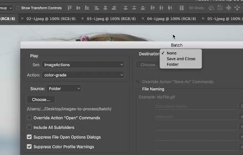 The ‘None’ option selected from the ‘Batch’ window in Adobe Photoshop