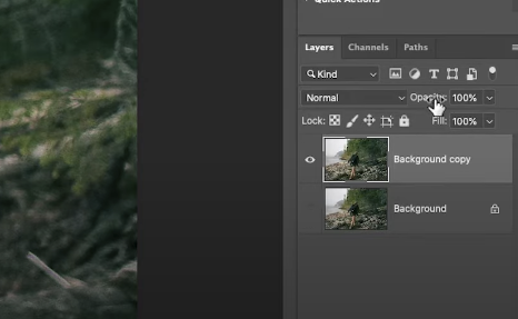 Layer Opacity in the Layers Panel in Ps.