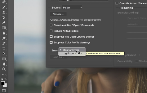 The 'Stop for Errors' option selected from the ‘Batch’ window in Adobe Photoshop