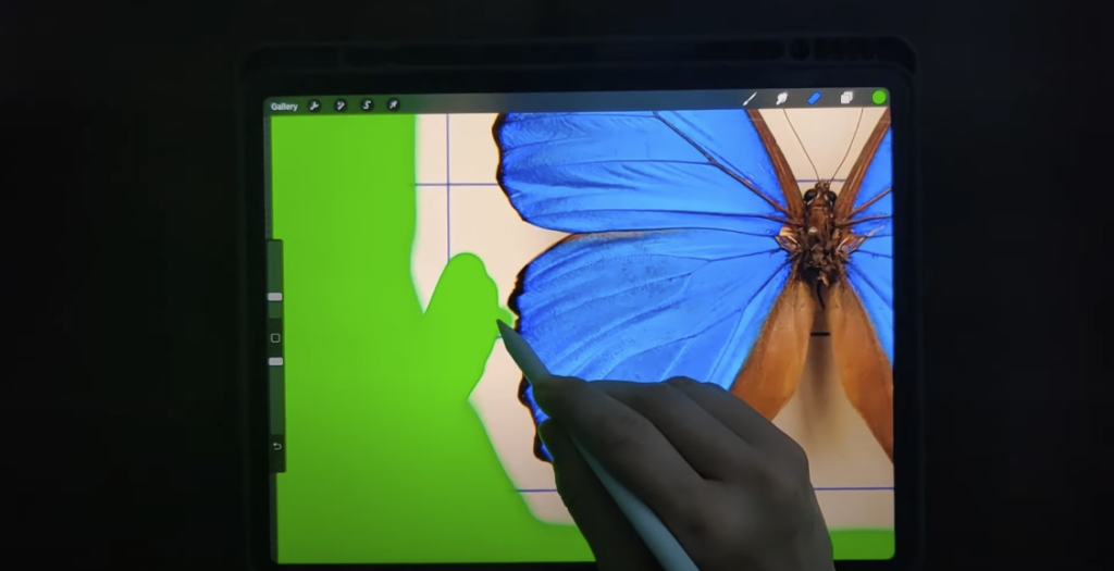 Photo of a hand using the Procreate to remove the background from a picture of butterfly